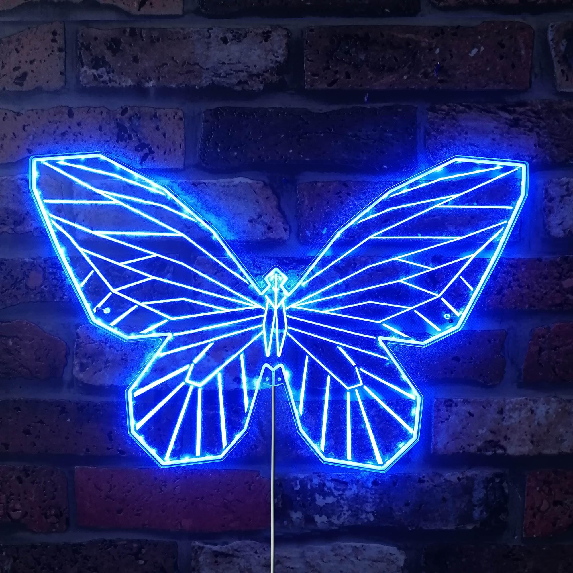 光る蝶 Amazon.co.jp: ADVPRO 蝶 幾何学的な昆虫 RGB ダイナミック